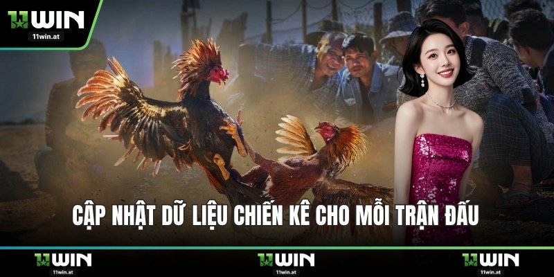 Cập nhật dữ liệu chiến kê cho mỗi trận đấu 