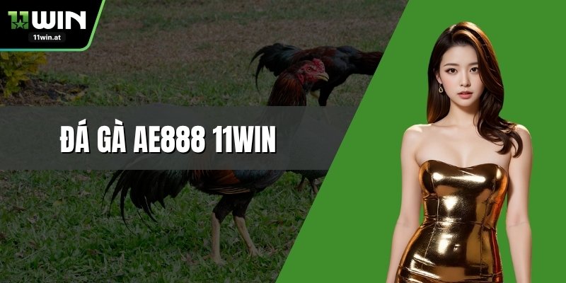 Đá Gà AE888 11WIN – Trận Đấu Kịch Tính Đầy Bất Ngờ