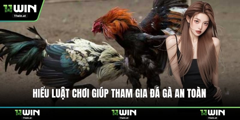 Hiểu luật chơi giúp tham gia đá gà an toàn